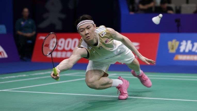 导语提供英